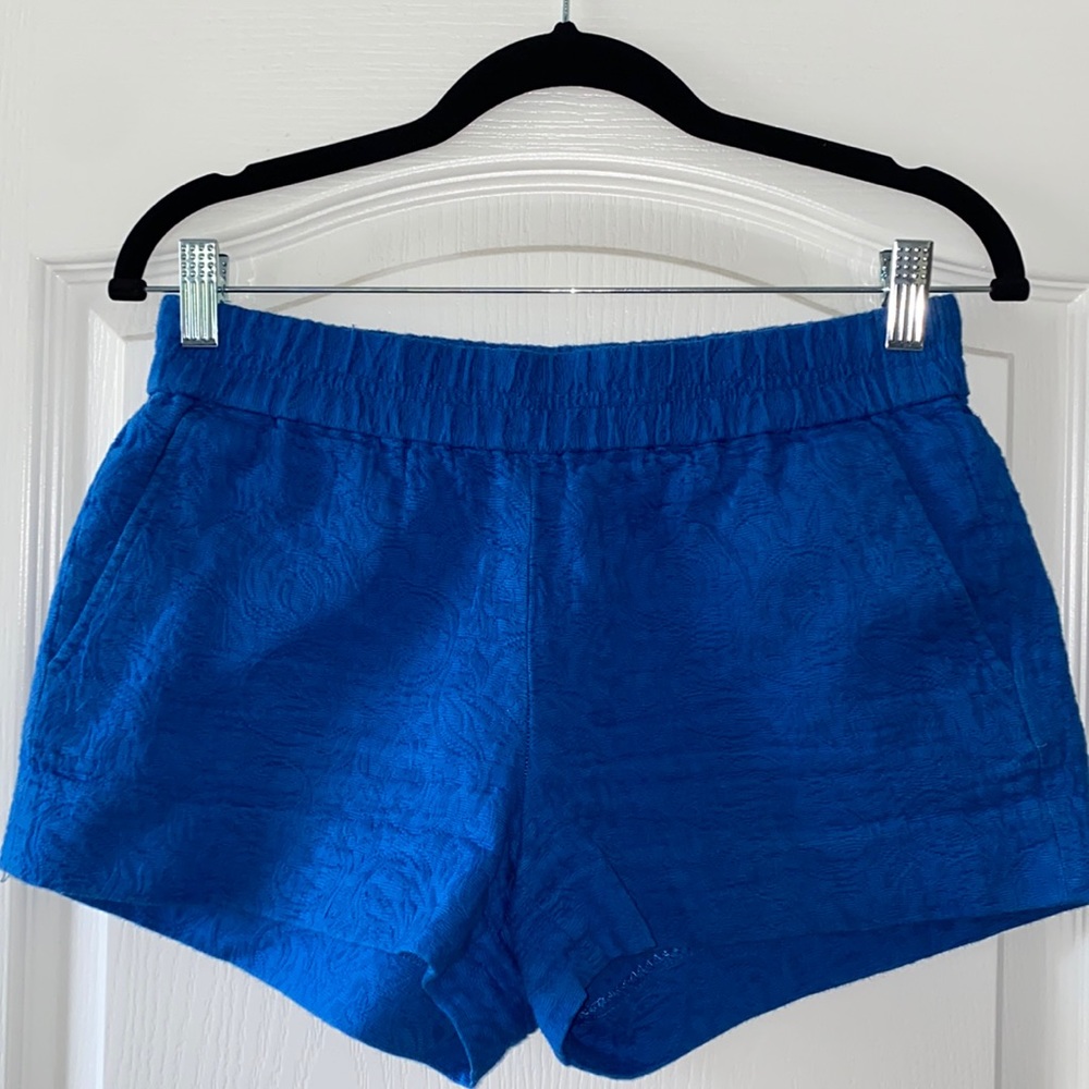 J Crew Shorts